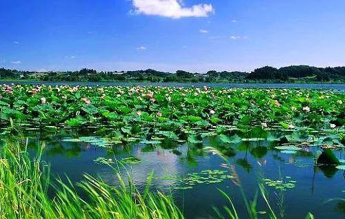 浅雨夕