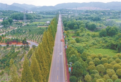 雨花区跳马镇喜讯连连，美好篇章再续写