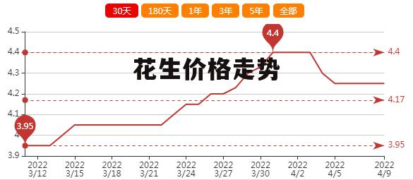 小傻瓜ぃ