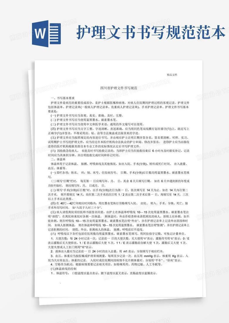 护理文书撰写最新规范解析与实操技巧PPT教程