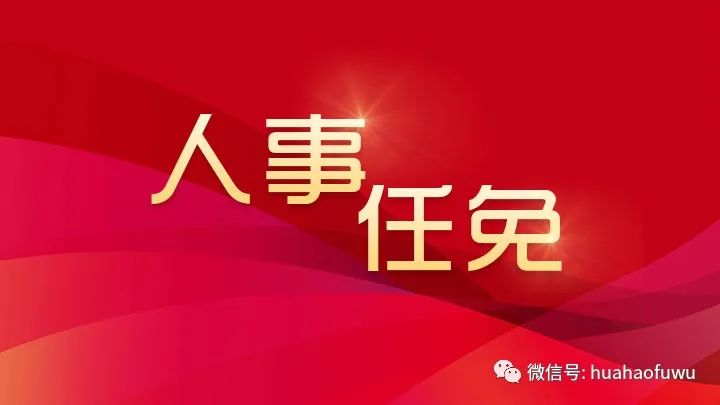 南浔区最新人事调整揭晓：一揽子任免信息全解读